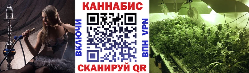 Шишки марихуана конопля  гидра сайт  Рубцовск 